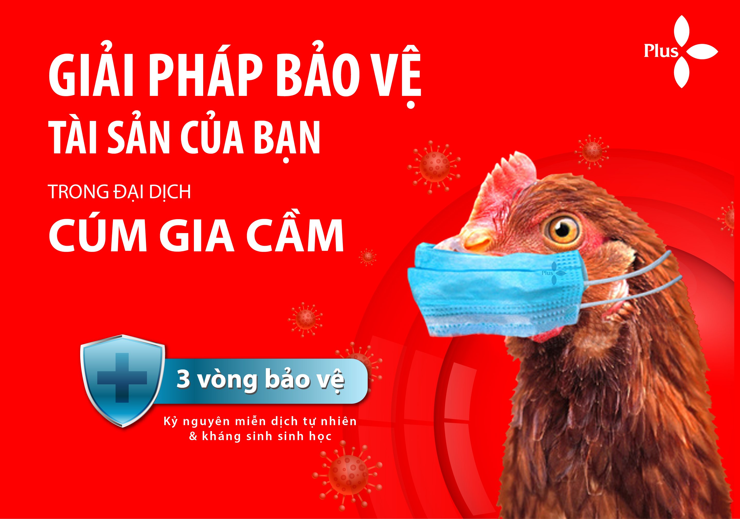CHĂN NUÔI AN TOÀN SINH HỌC LÀ CHĂN NUÔI BỀN VỮNG