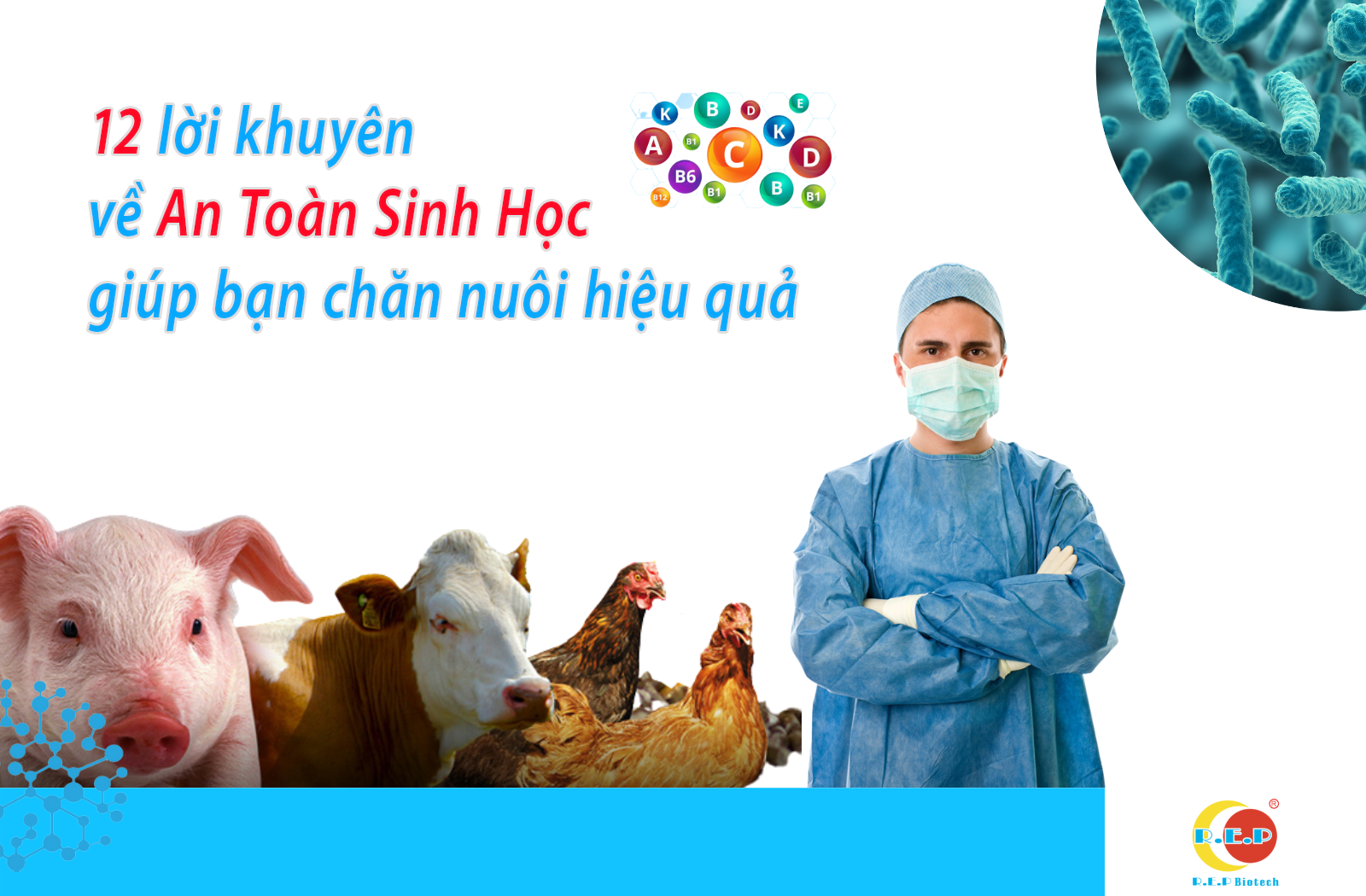 12 LỜI KHUYÊN VỀ AN TOÀN SINH HỌC GIÚP BẠN CHĂN NUÔI HIỆU QUẢ