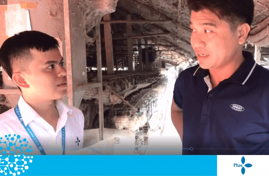 TRẠI GÀ RI ANH DIỆP