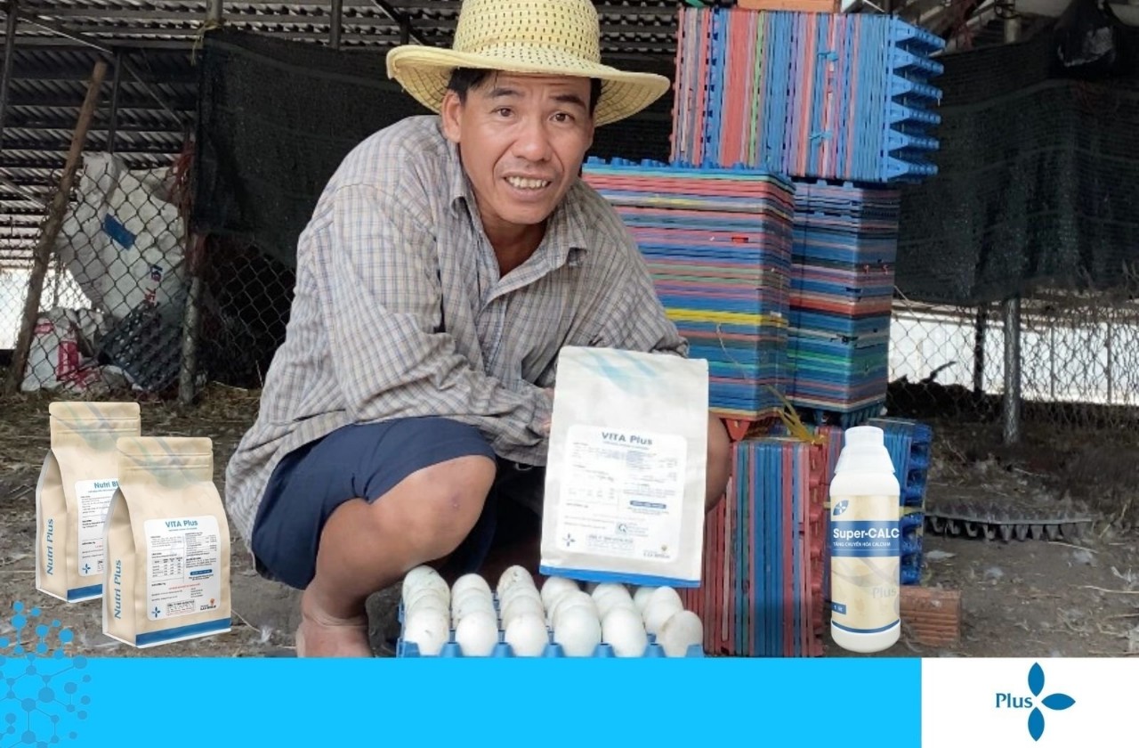 TRẠI VỊT ĐẺ - BÀ RỊA – VŨNG TÀU
