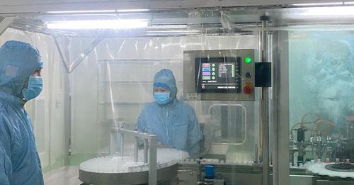 VACCINE DỊCH TẢ LỢN CHÂU PHI ĐẠT HIỆU QUẢ CAO TRONG KIỂM NGHIỆM