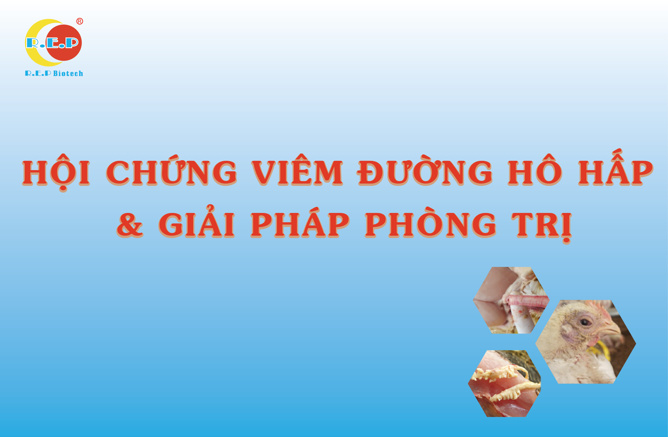 HỘI CHỨNG VIÊM ĐƯỜNG HÔ HẤP Ở GÀ DO NHIỄM KHUẨN VÀ GIẢI PHÁP PHÒNG, TRỊ