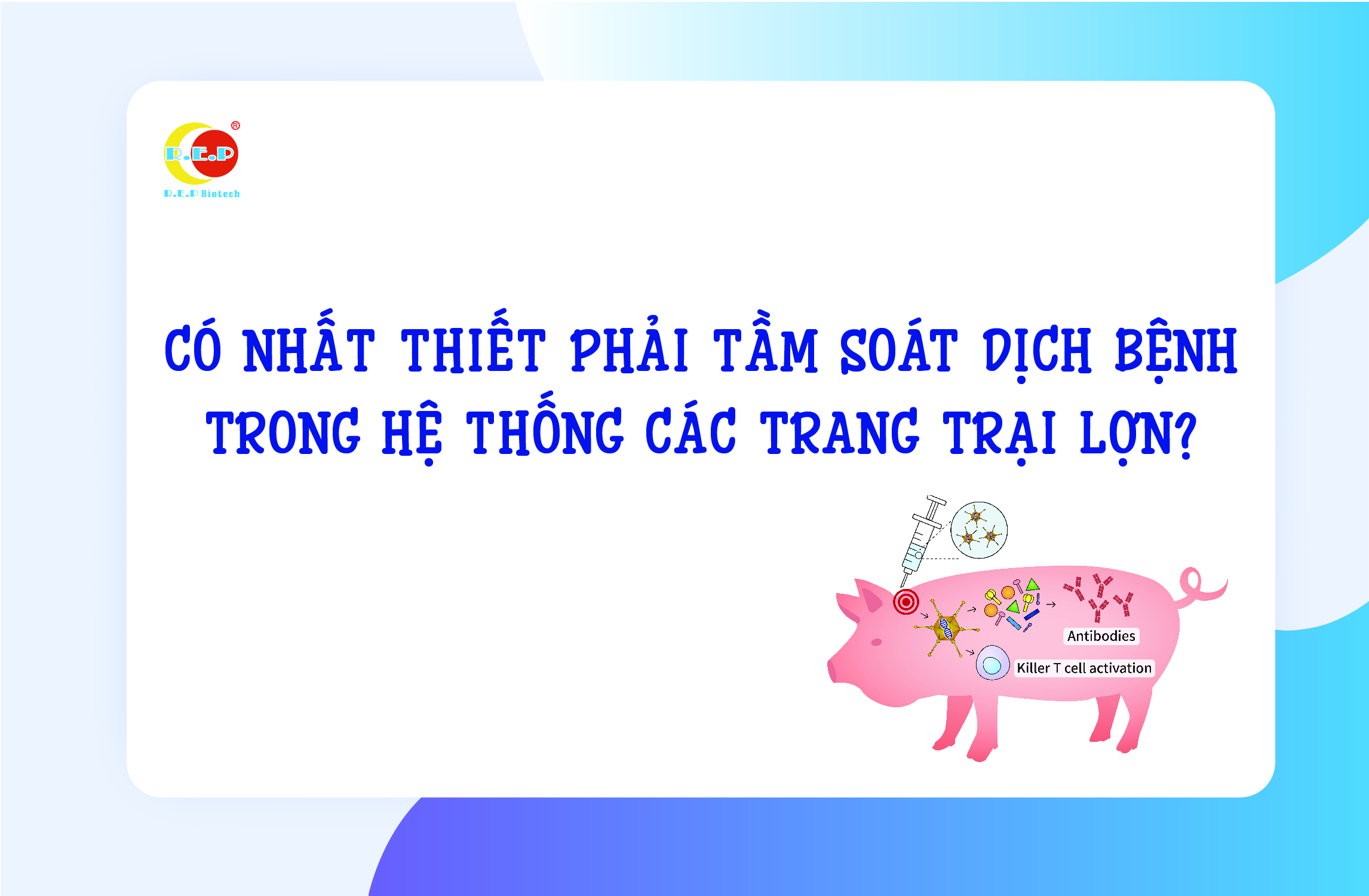 CÓ NHẤT THIẾT PHẢI TẦM SOÁT DỊCH BỆNH TRONG HỆ THỐNG CÁC TRANG TRẠI LỢN?