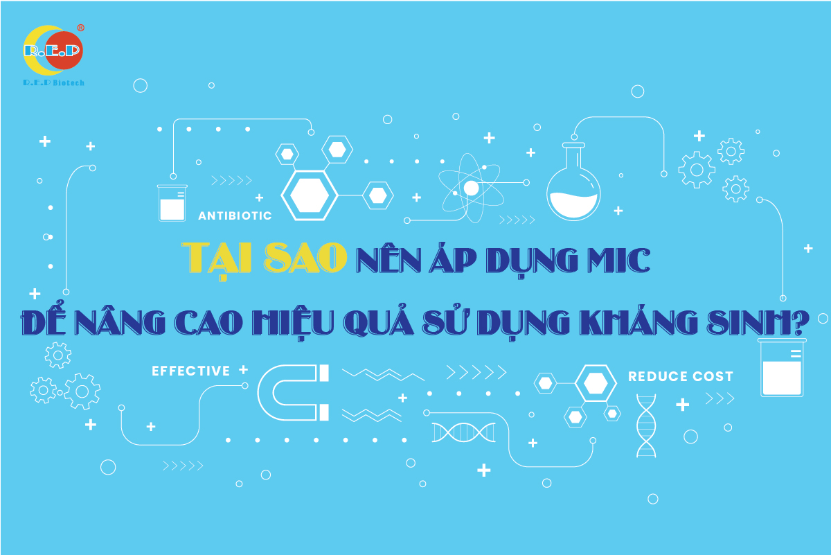 TẠI SAO NÊN ÁP DỤNG MIC ĐỂ NÂNG CAO HIỆU QUẢ KHÁNG SINH?