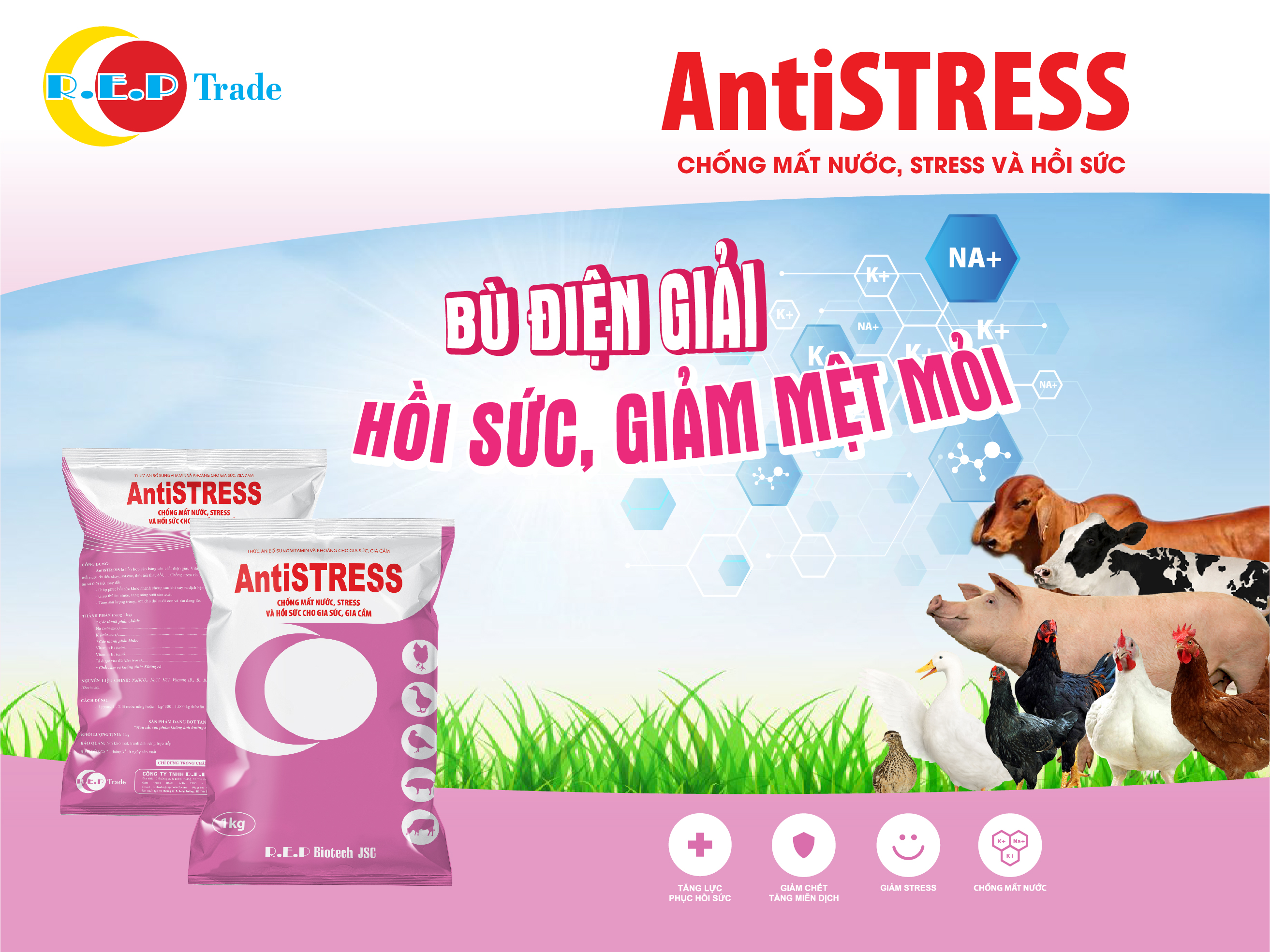 KHÔNG KỂ NGUYÊN DO - VẬT NUÔI STRESS ĐÃ CÓ AntiSTRESS LO