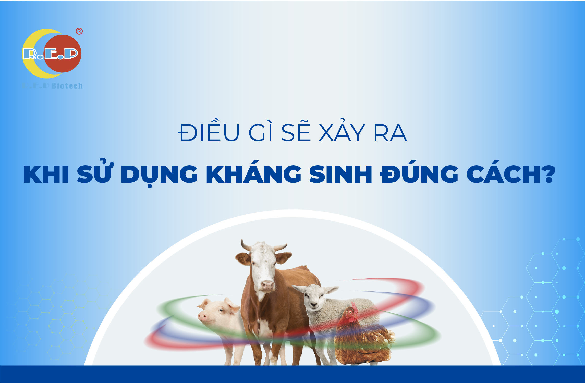 ĐIỀU GÌ SẼ XẢY RA KHI SỬ DỤNG KHÁNG SINH ĐÚNG CÁCH?