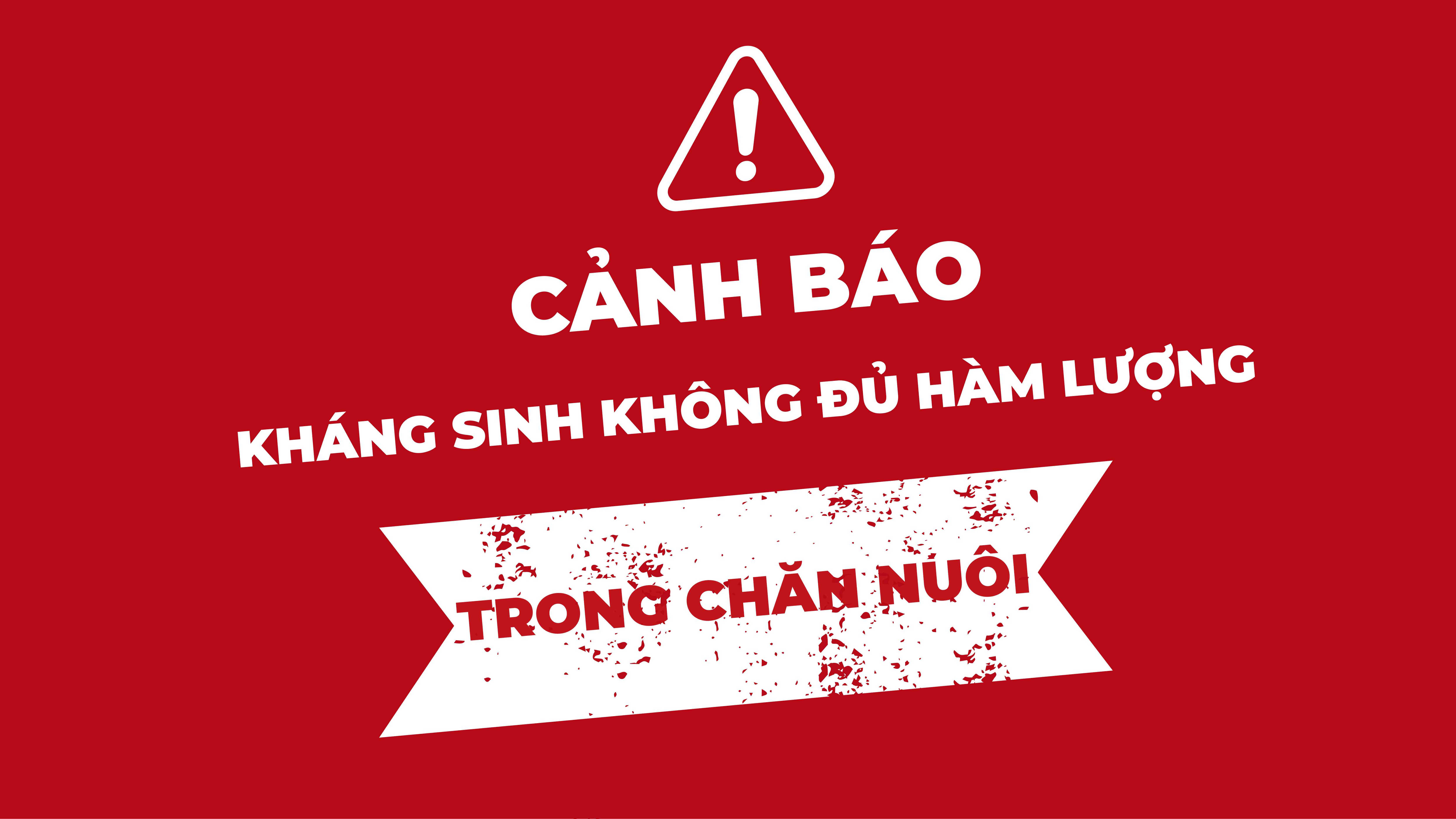 BÁO ĐỘNG KHÁNG SINH KÉM CHẤT LƯỢNG TRONG CHĂN NUÔI