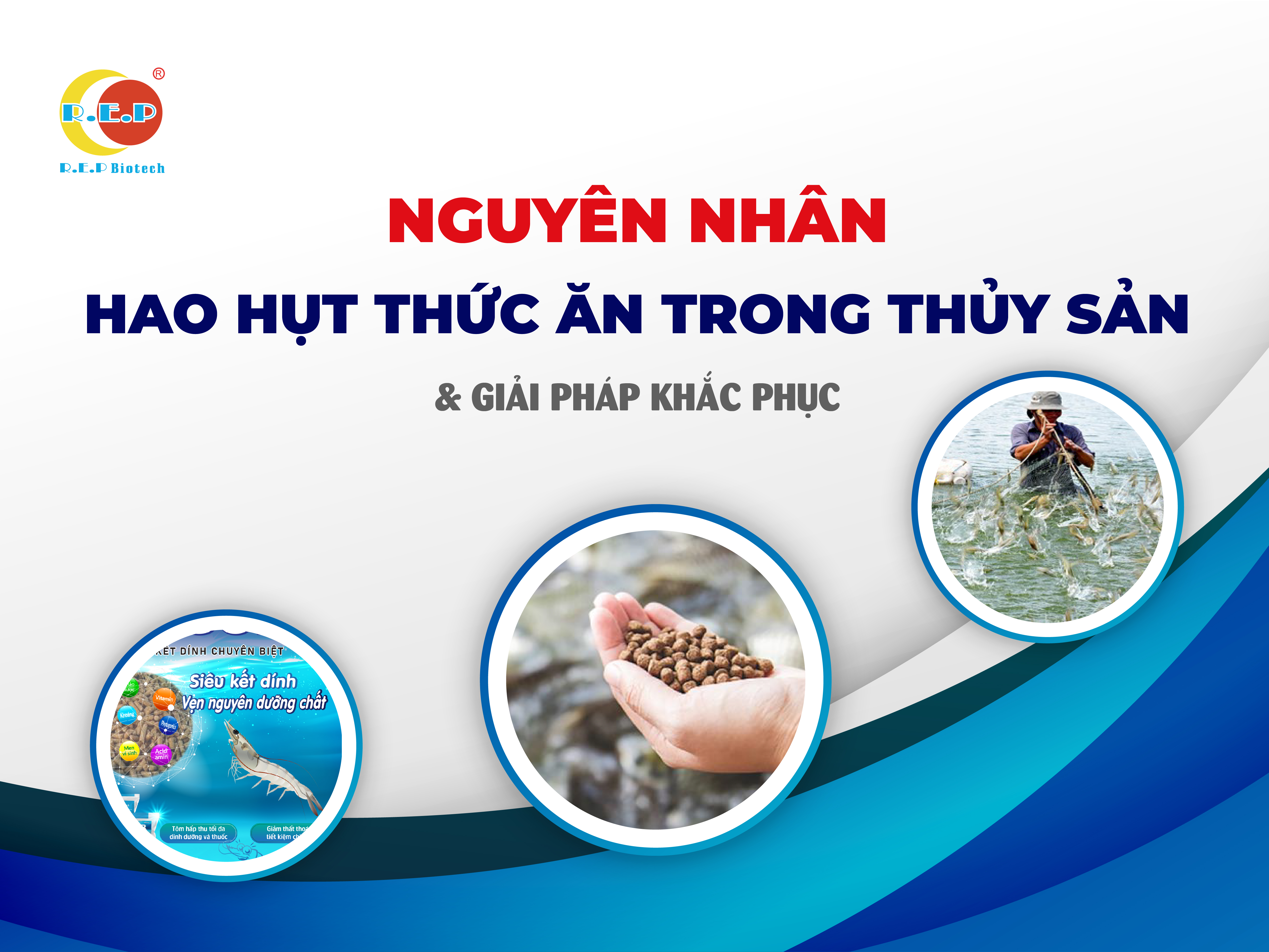 NGUYÊN NHÂN HAO HỤT THỨC ĂN TRONG THỦY SẢN