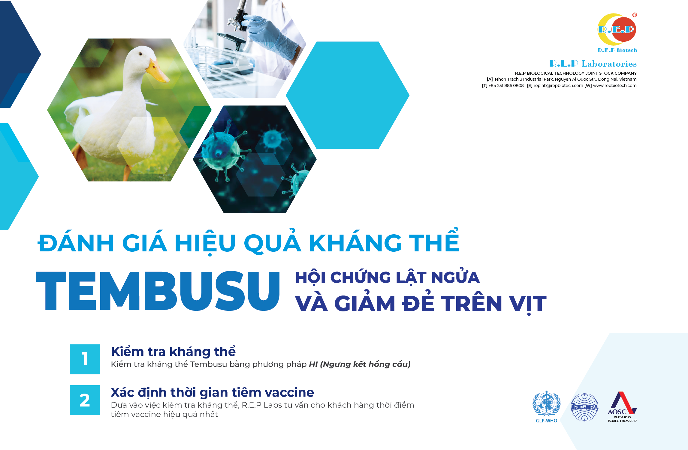 THÀNH CÔNG TRONG NGHIÊN CỨU HI CỦA R.E.P LABS LÀ TIỀN ĐỀ CHO RA ĐỜI CHƯƠNG TRÌNH “ĐÁNH GIÁ HIỆU QUẢ KHÁNG THỂ TEMBUSU”