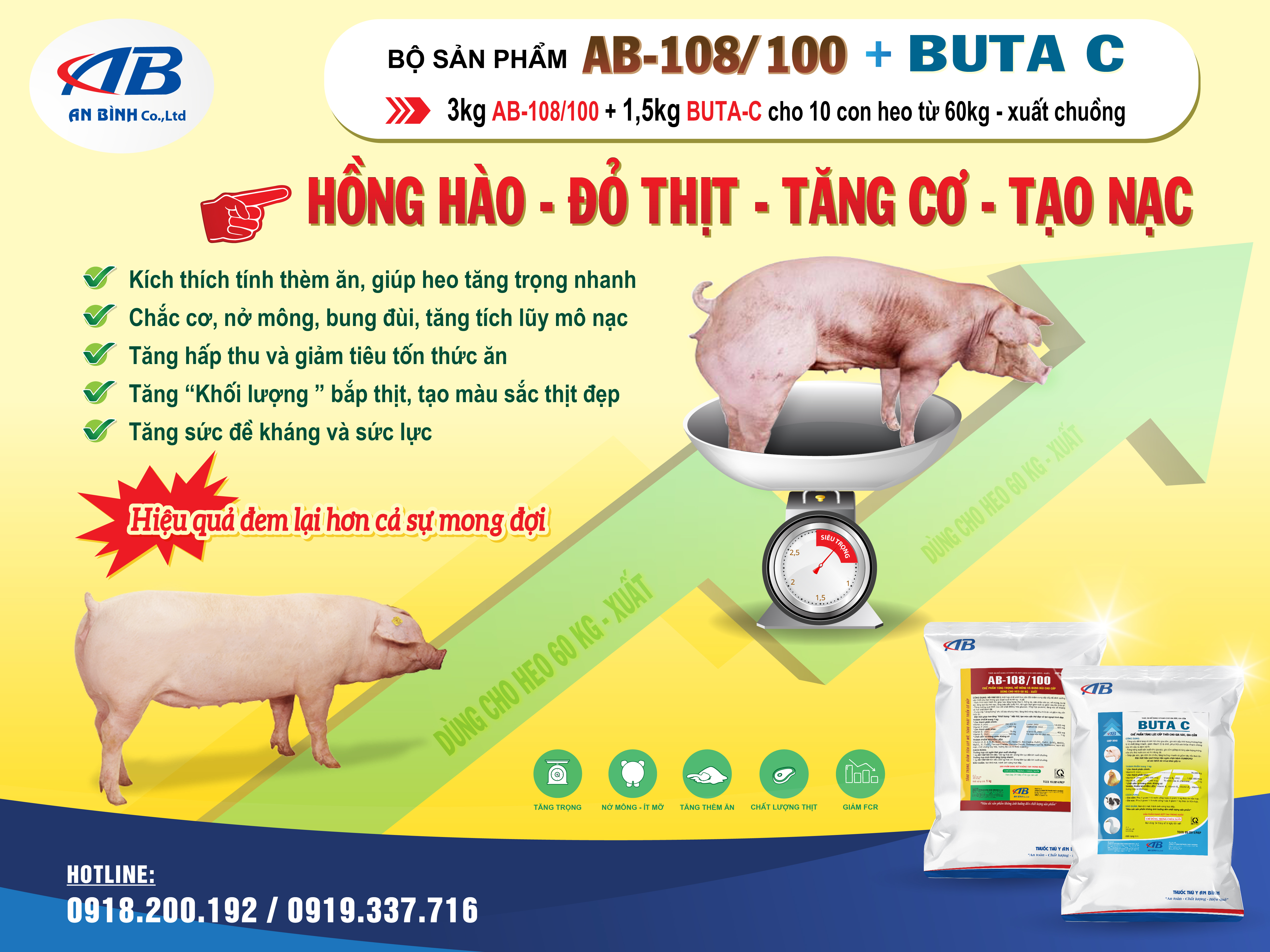 BỘ ĐÔI TĂNG TRỌNG HEO THỊT