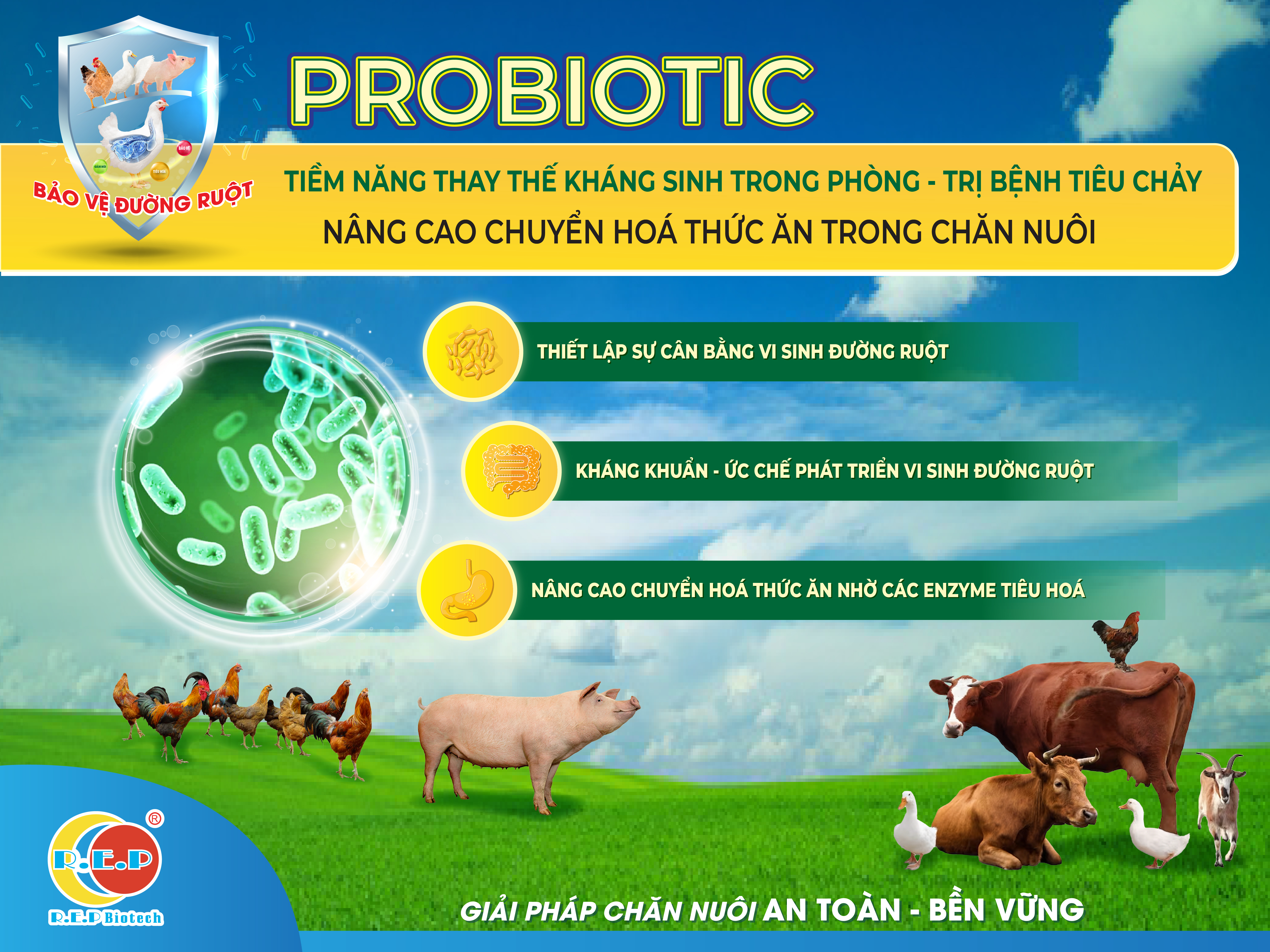 PROBIOTIC TIỀM NĂNG THAY THẾ KHÁNG SINH TRONG PHÒNG TRỊ BỆNH TIÊU CHẢY VÀ NÂNG CAO CHUYỂN HOÁ THỨC ĂN CHO CHĂN NUÔI