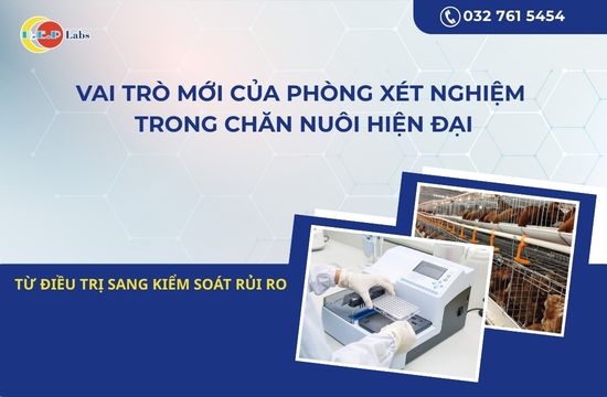 TỪ ĐIỀU TRỊ SANG KIỂM SOÁT RỦI RO: VAI TRÒ MỚI CỦA PHÒNG XÉT NGHIỆM TRONG CHĂN NUÔI HIỆN ĐẠI
