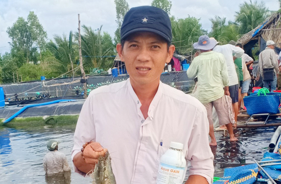 FARM TÔM ANH NHỰT - PHÚ TÂN, CÀ MAU