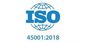 logo 6